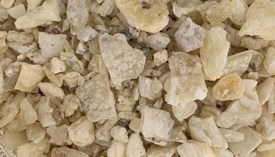 IMG AsocProd Copal-Resina 483