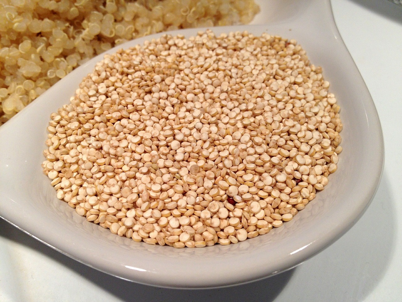 IMG Proquinoa 551