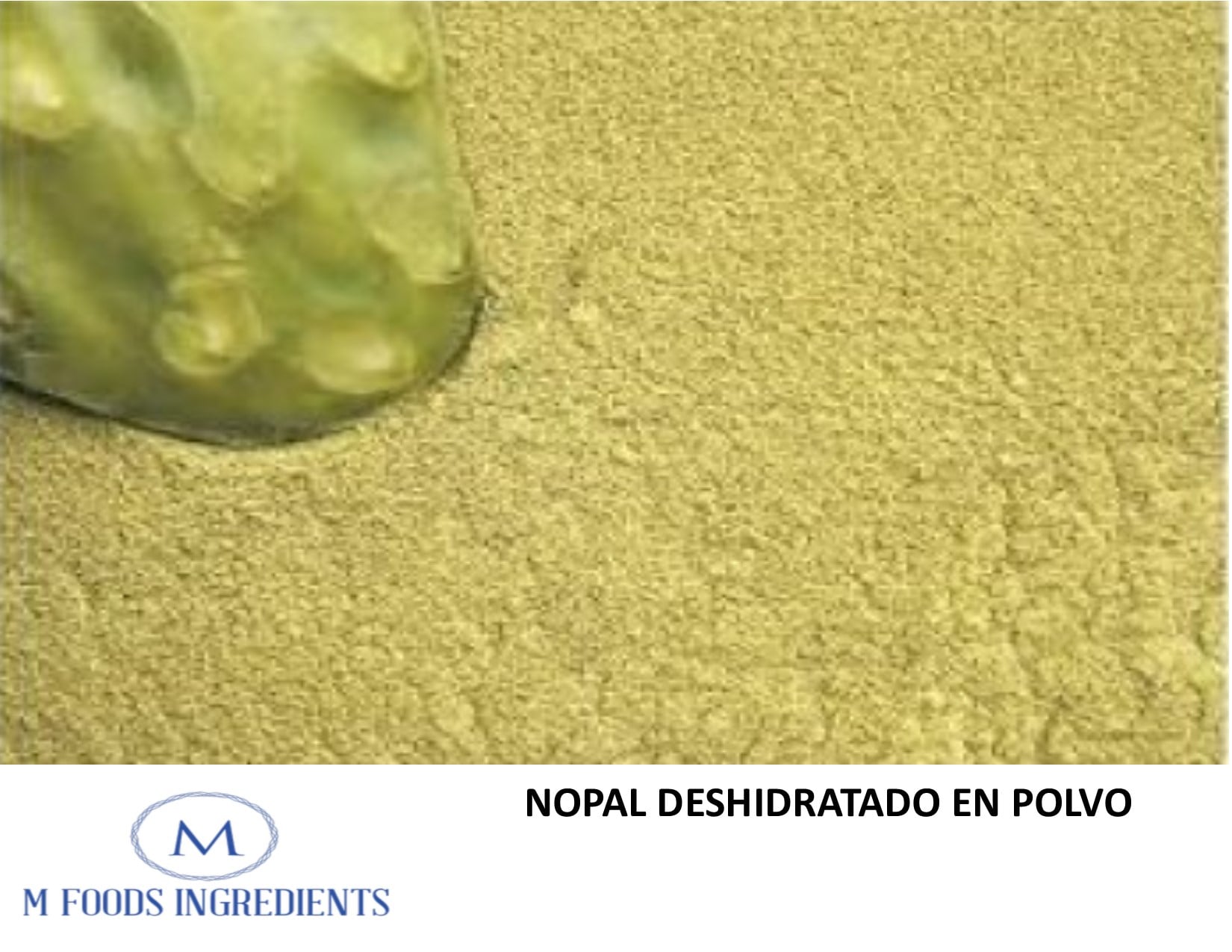 IMG M Food Ingredients 112