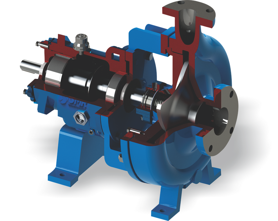 IMG CIMI 260